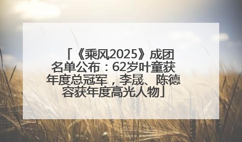 《乘风2025》成团名单公布：62岁叶童获年度总冠军，李晟、陈德容获年度高光人物