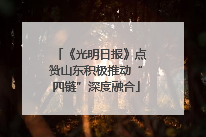 《光明日报》点赞山东积极推动“四链”深度融合