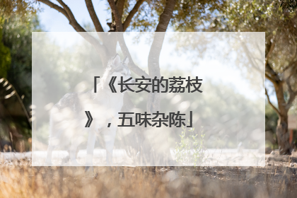 《长安的荔枝》，五味杂陈