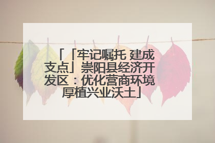 「牢记嘱托 建成支点」崇阳县经济开发区：优化营商环境 厚植兴业沃土
