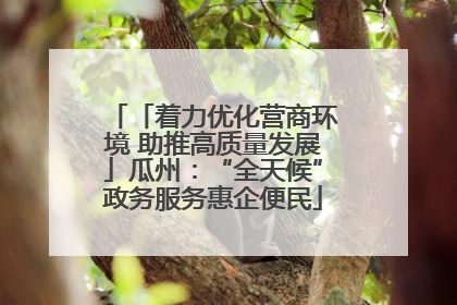 「着力优化营商环境 助推高质量发展」瓜州：“全天候”政务服务惠企便民