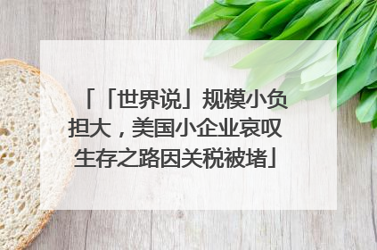 「世界说」规模小负担大，美国小企业哀叹生存之路因关税被堵