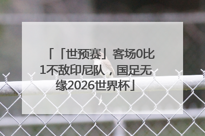 「世预赛」客场0比1不敌印尼队，国足无缘2026世界杯