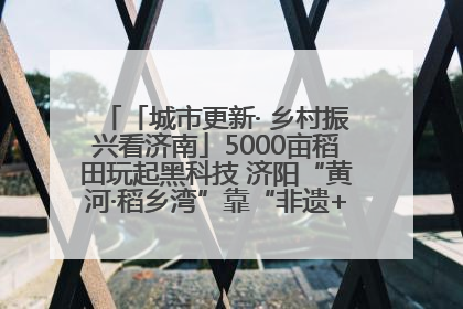 「城市更新· 乡村振兴看济南」5000亩稻田玩起黑科技 济阳“黄河·稻乡湾”靠“非遗+露营”火出圈