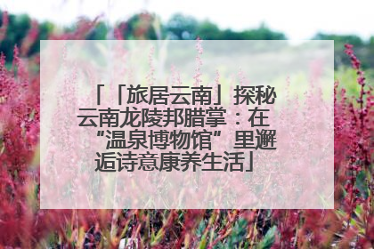 「旅居云南」探秘云南龙陵邦腊掌：在“温泉博物馆”里邂逅诗意康养生活