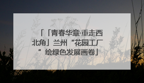 「青春华章·重走西北角」兰州“花园工厂”绘绿色发展画卷