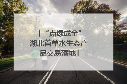 “点绿成金” 湖北首单水生态产品交易落地