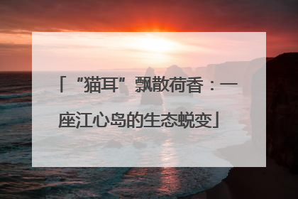 “猫耳”飘散荷香：一座江心岛的生态蜕变