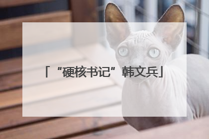“硬核书记”韩文兵