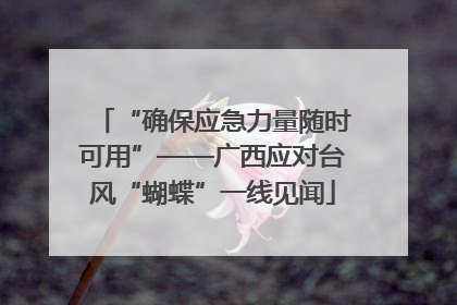 “确保应急力量随时可用”——广西应对台风“蝴蝶”一线见闻