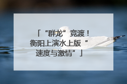 “群龙”竞渡！衡阳上演水上版“速度与激情”