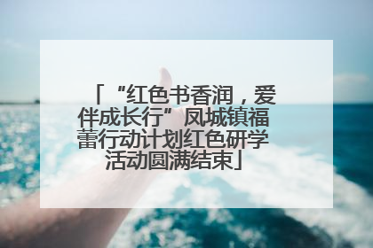 “红色书香润，爱伴成长行”凤城镇福蕾行动计划红色研学活动圆满结束