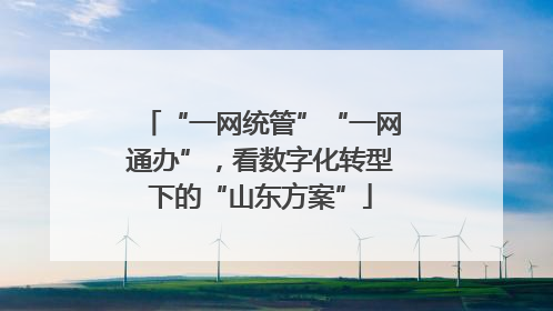 “一网统管”“一网通办”，看数字化转型下的“山东方案”