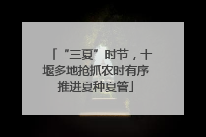“三夏”时节，十堰多地抢抓农时有序推进夏种夏管