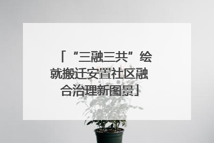 “三融三共”绘就搬迁安置社区融合治理新图景