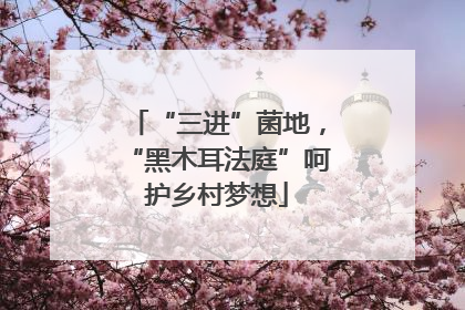 “三进”菌地，“黑木耳法庭”呵护乡村梦想