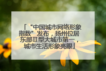 “中国城市网络形象指数”发布，扬州位居东部Ⅱ型大城市第一，城市生活形象亮眼