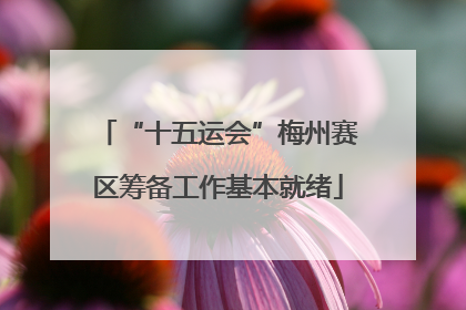 “十五运会”梅州赛区筹备工作基本就绪