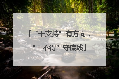 “十支持”有方向，“十不得”守底线