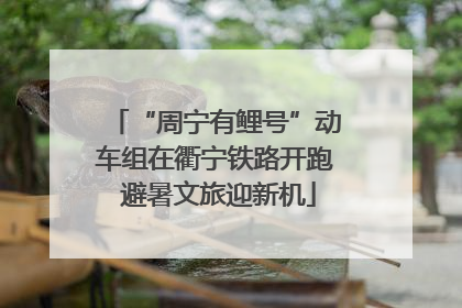 “周宁有鲤号”动车组在衢宁铁路开跑 避暑文旅迎新机