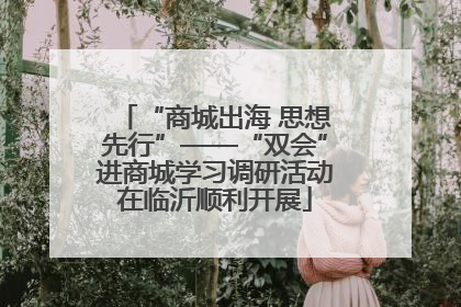 “商城出海 思想先行”——“双会”进商城学习调研活动在临沂顺利开展