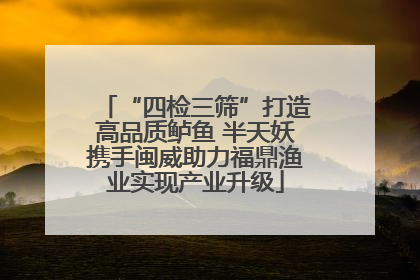 “四检三筛”打造高品质鲈鱼 半天妖携手闽威助力福鼎渔业实现产业升级