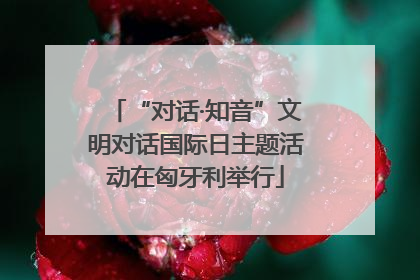 “对话·知音”文明对话国际日主题活动在匈牙利举行