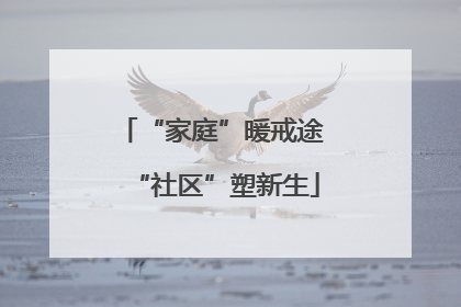 “家庭”暖戒途 “社区”塑新生