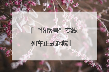 “岱岳号”专线列车正式起航