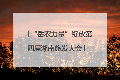 “岳农力量”绽放第四届湖南旅发大会