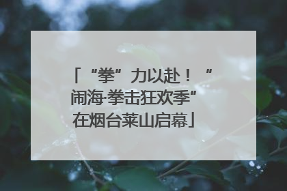 “拳”力以赴！“闹海·拳击狂欢季”在烟台莱山启幕