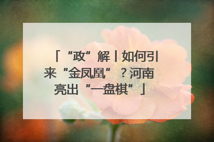 “政”解丨如何引来“金凤凰”？河南亮出“一盘棋”