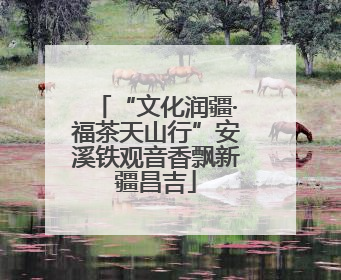 “文化润疆·福茶天山行”安溪铁观音香飘新疆昌吉