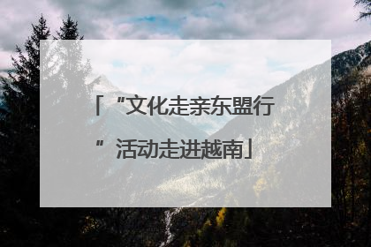“文化走亲东盟行”活动走进越南