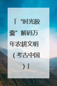 “时光胶囊”解码万年农耕文明（考古中国）