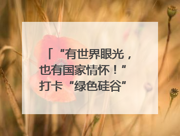 “有世界眼光，也有国家情怀！”打卡“绿色硅谷”，博主新解乐山｜网络名人四川行