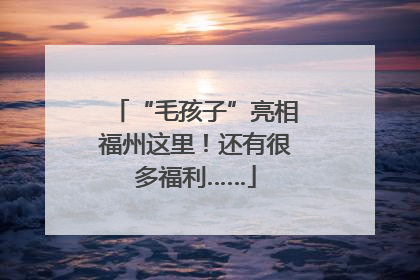 “毛孩子”亮相福州这里！还有很多福利……