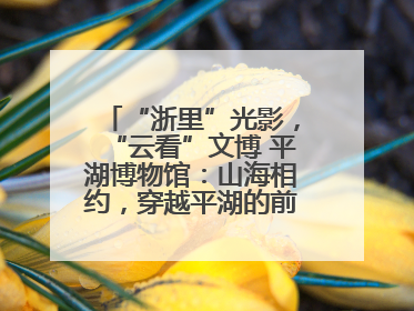 “浙里”光影，“云看”文博 平湖博物馆：山海相约，穿越平湖的前世今生