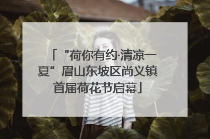“荷你有约·清凉一夏”眉山东坡区尚义镇首届荷花节启幕