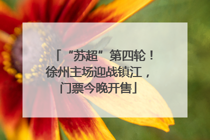 “苏超”第四轮！徐州主场迎战镇江，门票今晚开售