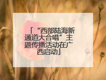 “西部陆海新通道大合唱”主题传播活动在广西启动