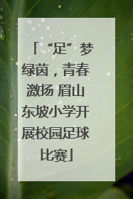 “足”梦绿茵，青春激扬 眉山东坡小学开展校园足球比赛