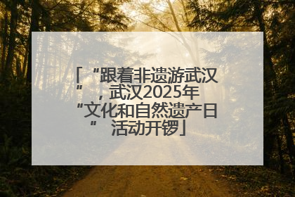 “跟着非遗游武汉”，武汉2025年“文化和自然遗产日” 活动开锣