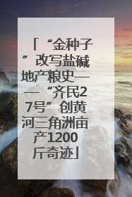“金种子”改写盐碱地产粮史——“齐民27号”创黄河三角洲亩产1200斤奇迹