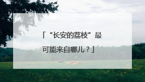 “长安的荔枝”最可能来自哪儿？