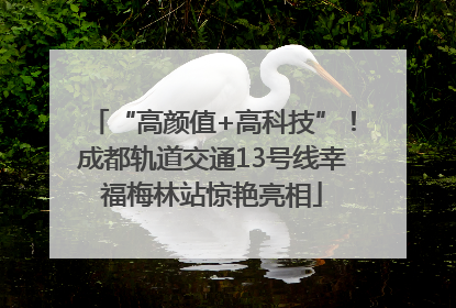 “高颜值+高科技”！成都轨道交通13号线幸福梅林站惊艳亮相