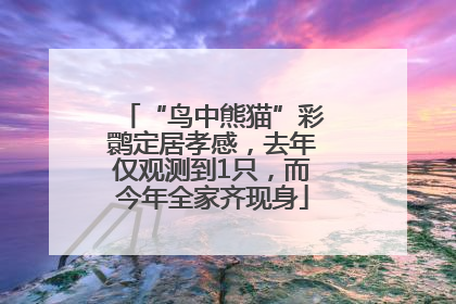 “鸟中熊猫”彩鹮定居孝感，去年仅观测到1只，而今年全家齐现身