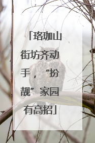 珞珈山街坊齐动手，“扮靓”家园有高招
