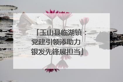 玉山县临湖镇：党建引领添助力 银发先锋展担当