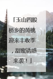 玉山四股桥乡的黄桃迎来丰收季，甜蜜诱惑来袭！